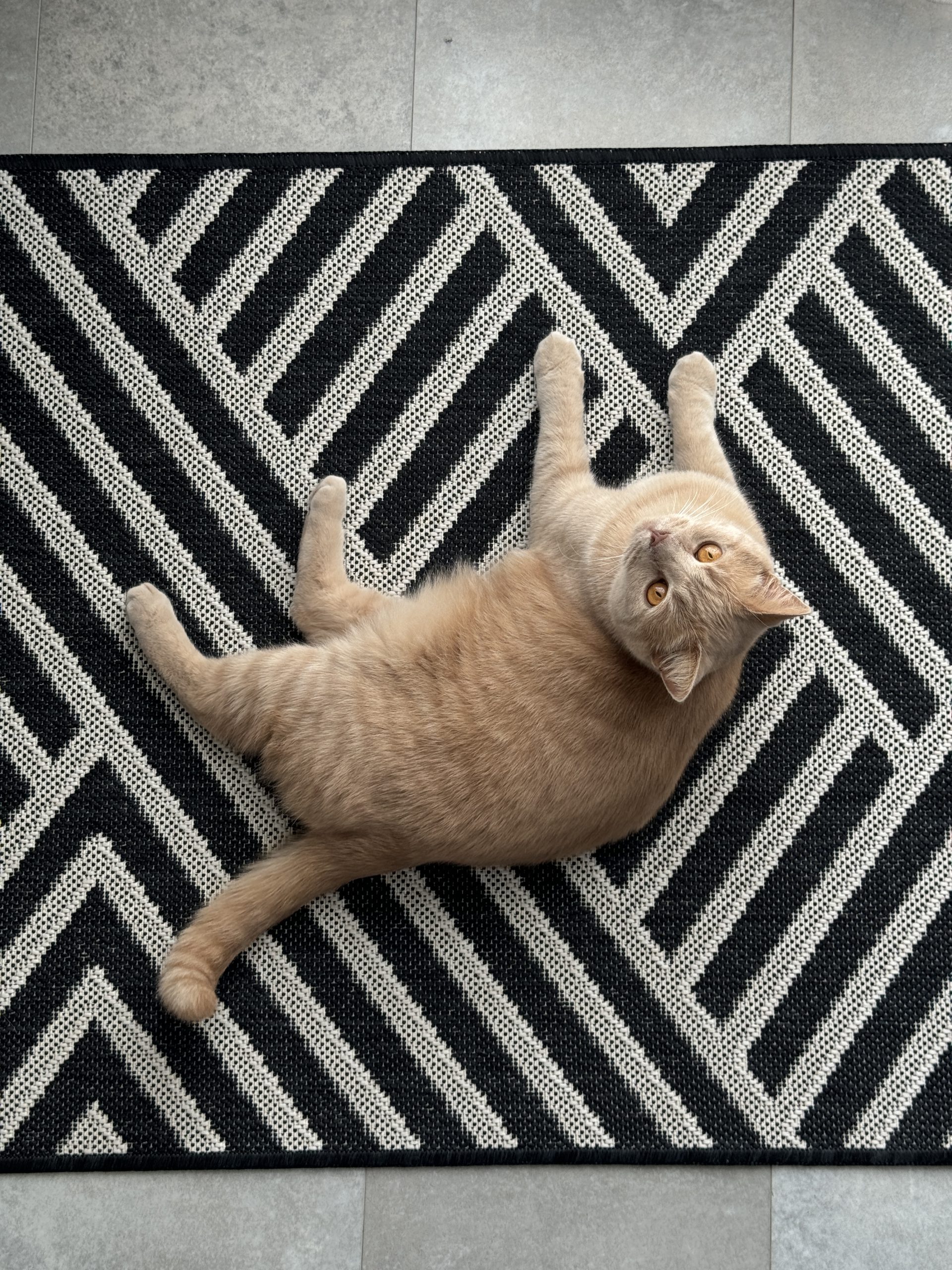 Доріжка Flex 19652/80